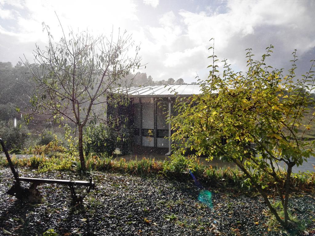 Bela Vista Silo Housing Villa Alfândega da Fé Eksteriør bilde