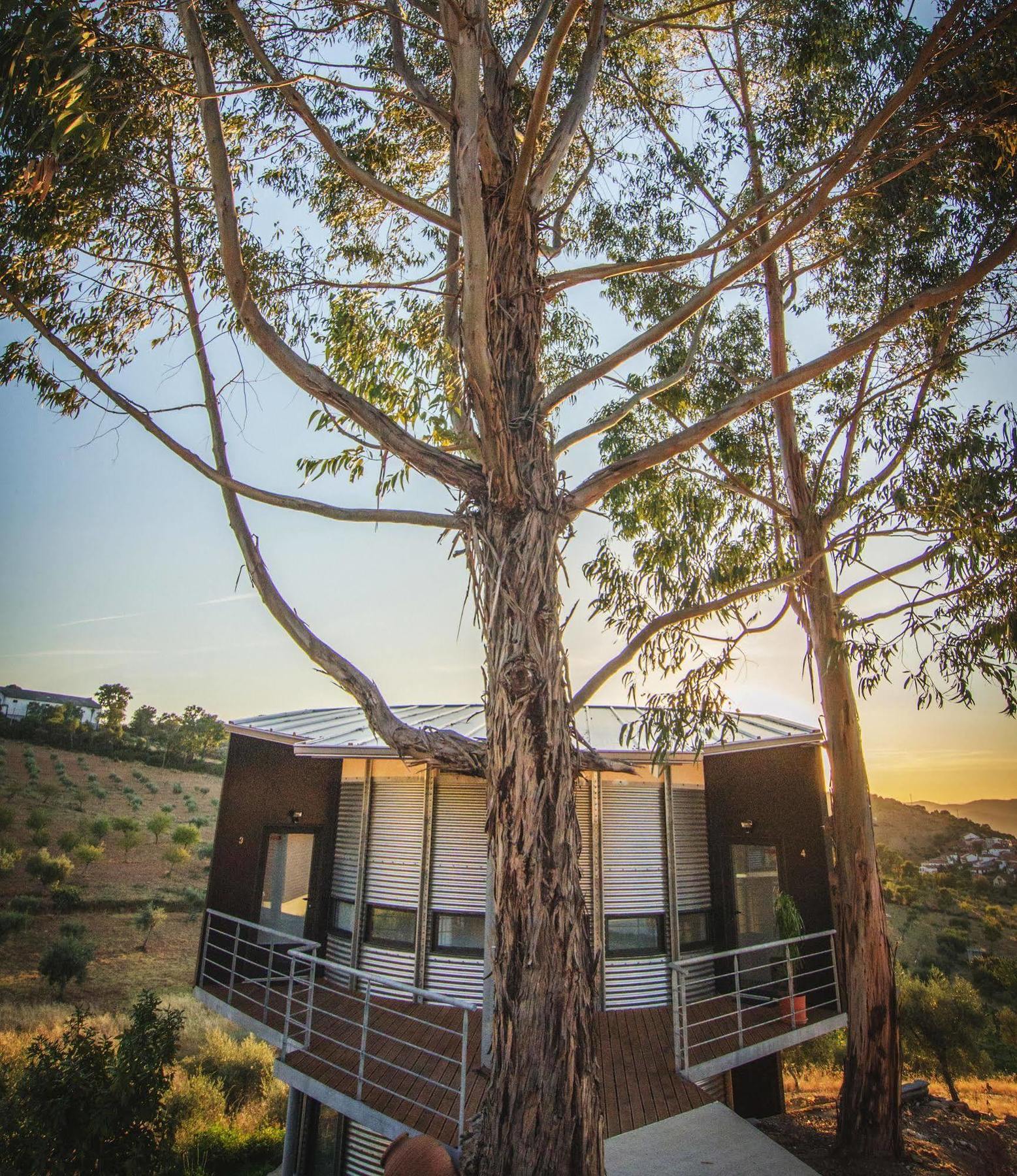 Bela Vista Silo Housing Villa Alfândega da Fé Eksteriør bilde